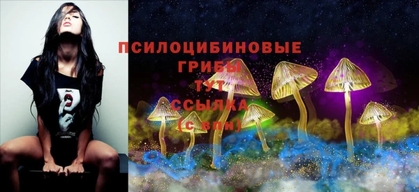 МДПВ Володарск
